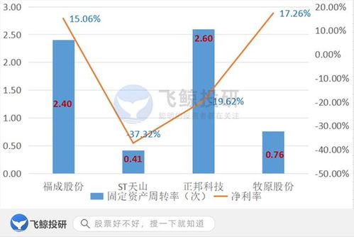 排雷必備 巧用固定資產(chǎn)篩選企業(yè)，優(yōu)化企業(yè)資產(chǎn)管理